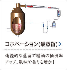 コホベーション(再蒸留)